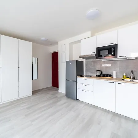 Appartement Borivojova 63 *