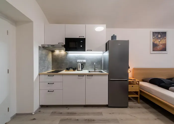 Borivojova 63 Apartament Praga