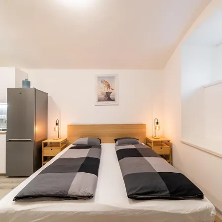 Lejlighed Borivojova 63 Prag