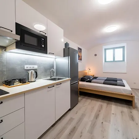 Lejlighed Borivojova 63 Prag