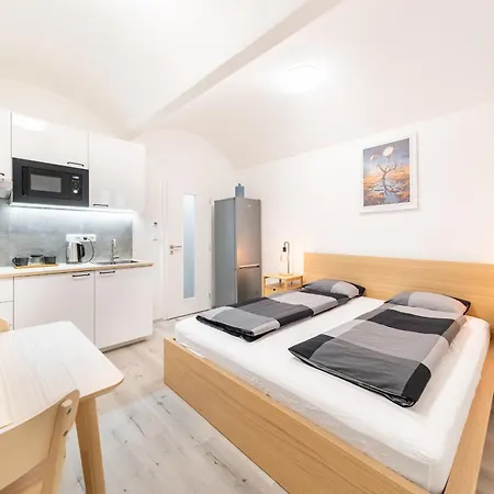 Lejlighed Borivojova 63 Prag