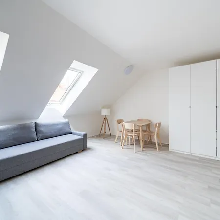 Lejlighed Borivojova 63 Prag
