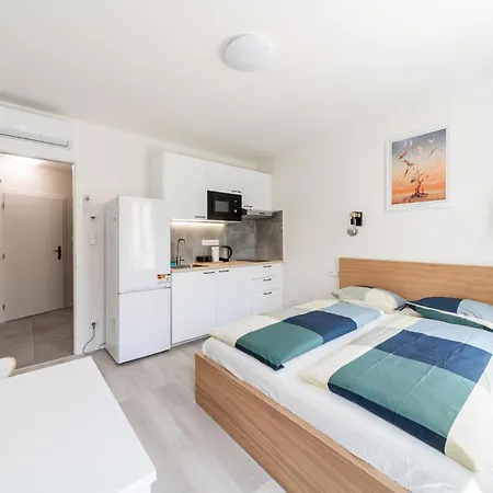 Borivojova 63 Apartamento *